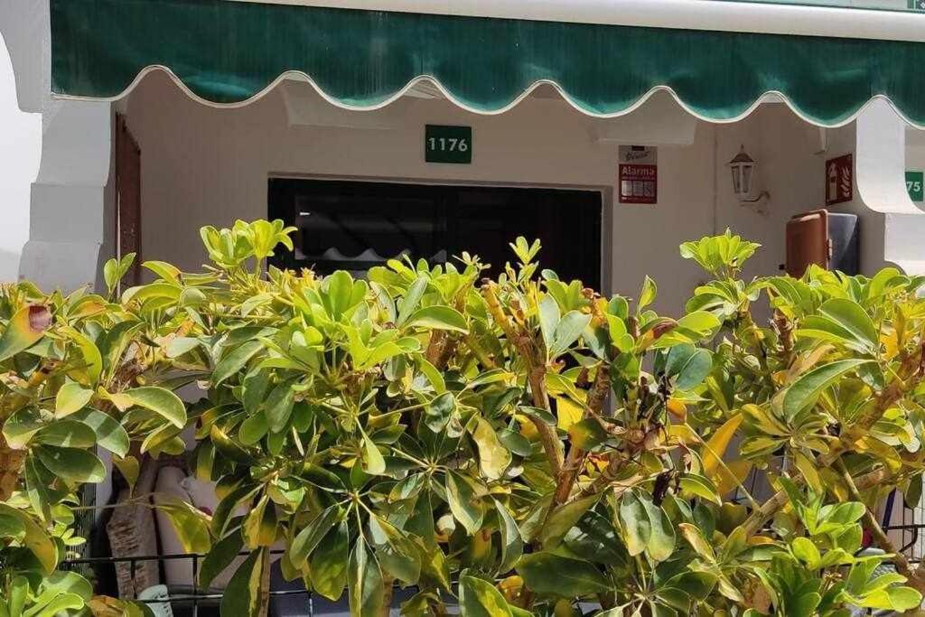 Raga Home - Bungalow With Swimming Pool In Maspalomas マスパロマス エクステリア 写真